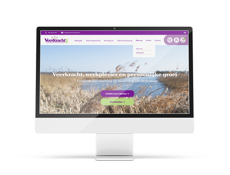 Website Stress en Burnout coach Veerkracht4all